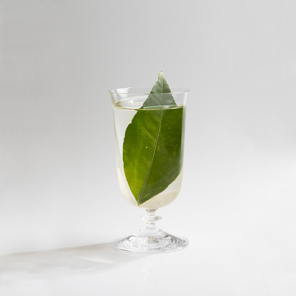 cocktail VERMUTTINO