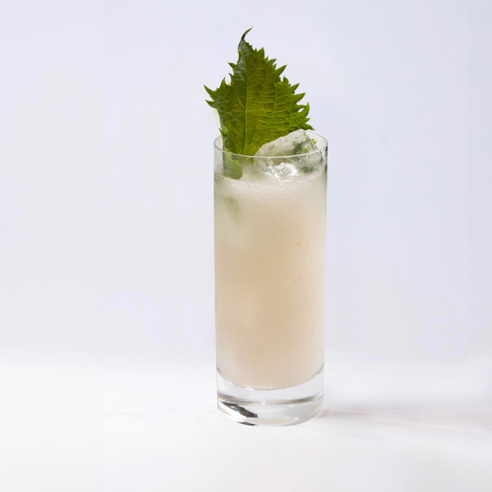 cocktail HIGHBLOSSOM